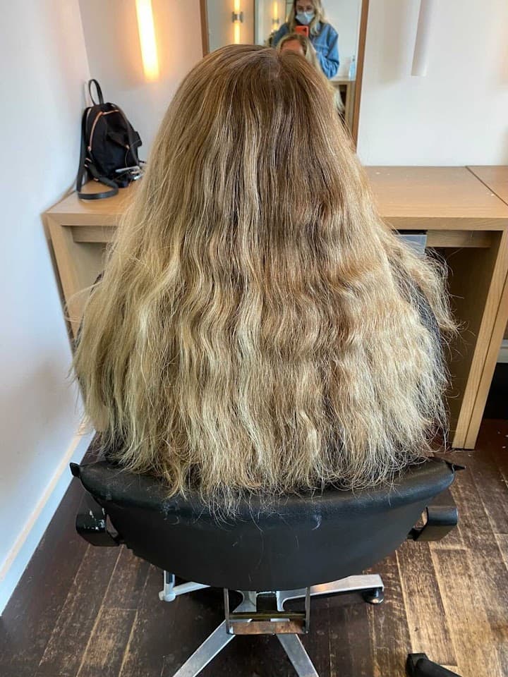 Timothy Pamment Salon portfolio 1