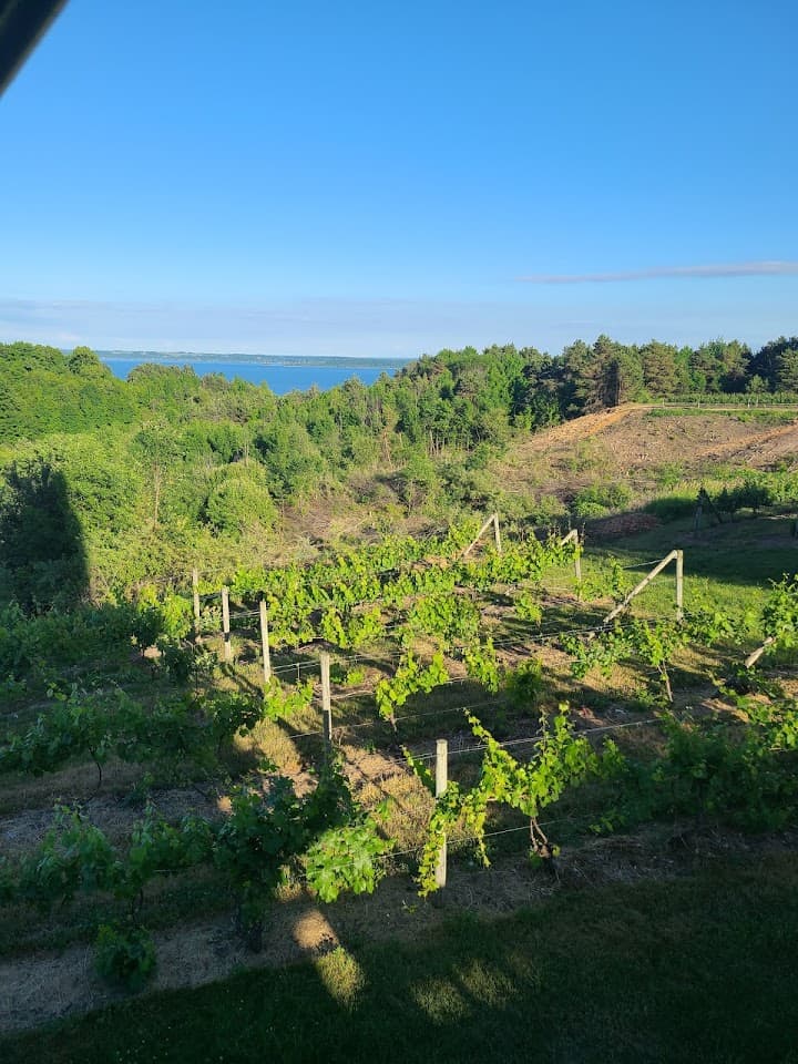 Ciccone Vineyard & Winery portfolio 1