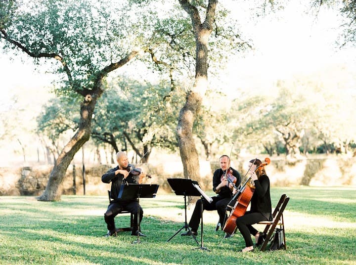 Terra Vista Strings