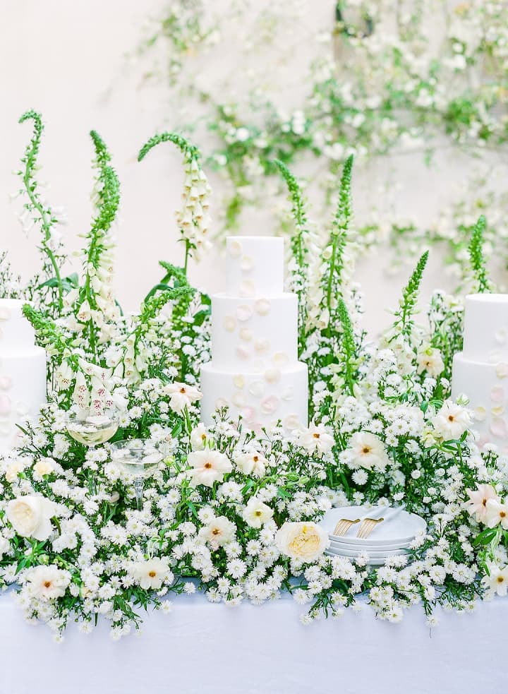 Jennifer Fox Weddings portfolio 2
