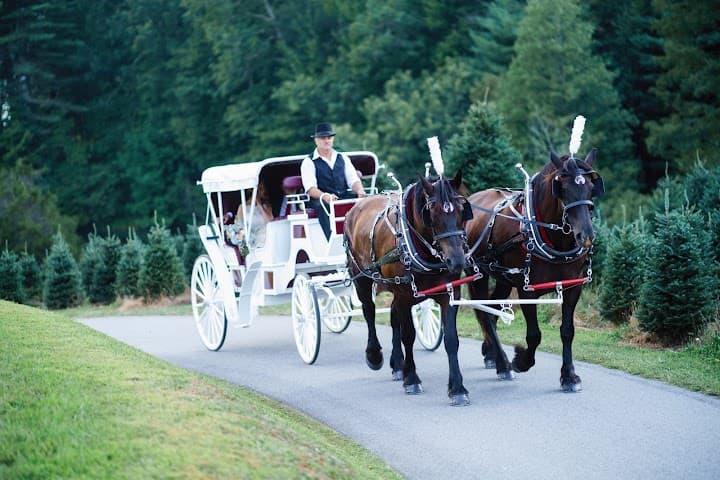 Sawyer Family Farmstead portfolio 2