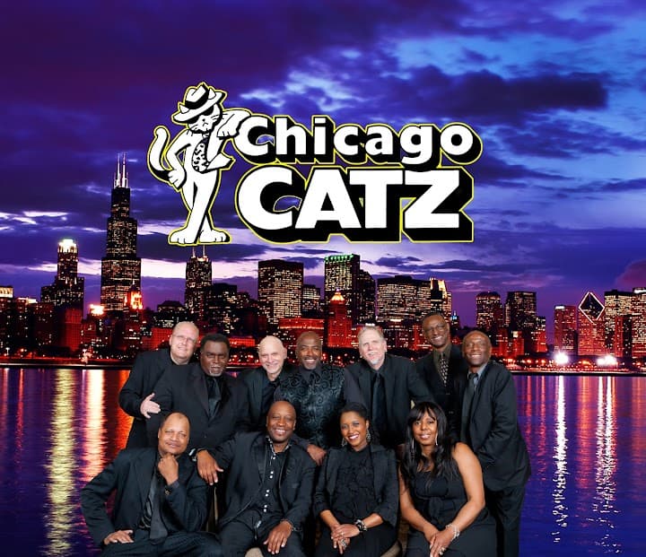 Chicago Catz portfolio 5