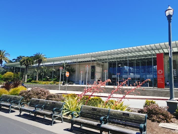 California Academy of Sciences portfolio 5