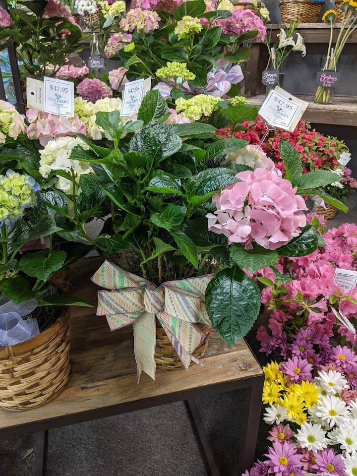 Nanz & Kraft Florists portfolio 3