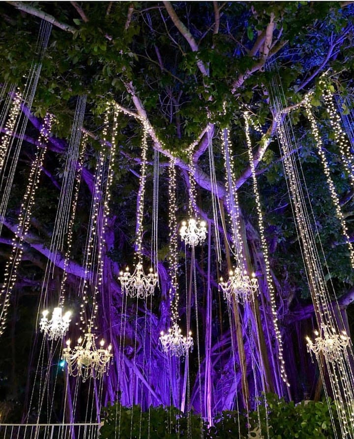 A Lavish Event Design portfolio 3