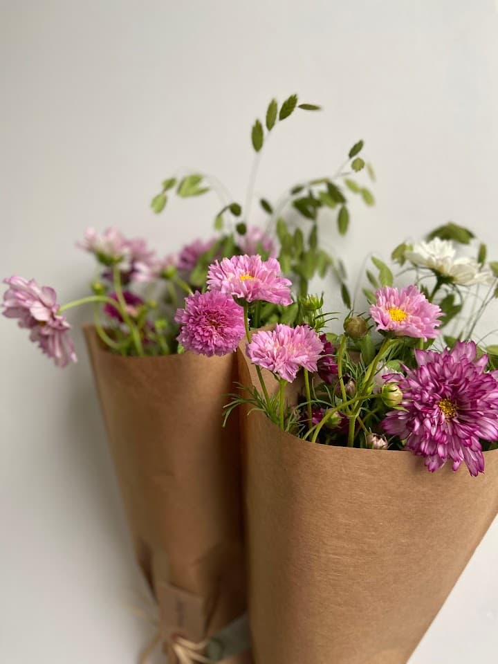 Molly Oliver Flowers portfolio 1