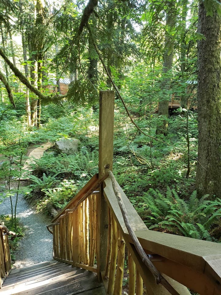 TreeHouse Point portfolio 4