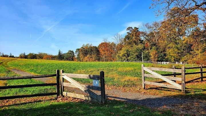 Blue Hill at Stone Barns portfolio 2