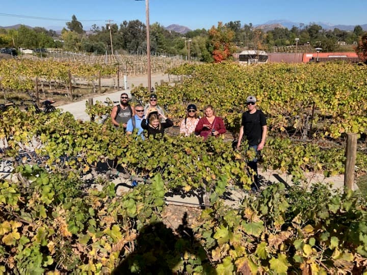 Lorimar Vineyards and Winery portfolio 5
