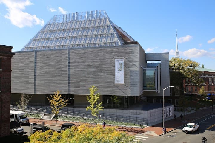 Harvard Art Museums portfolio 3