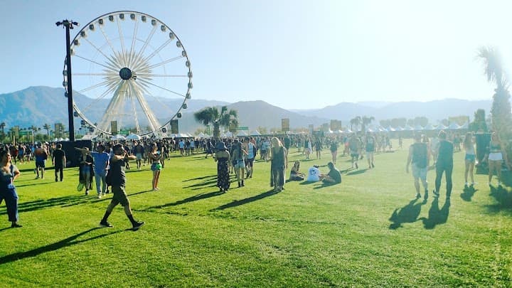 Empire Polo Club portfolio 5