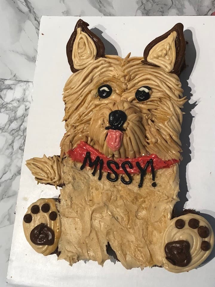 Cakeology portfolio 1