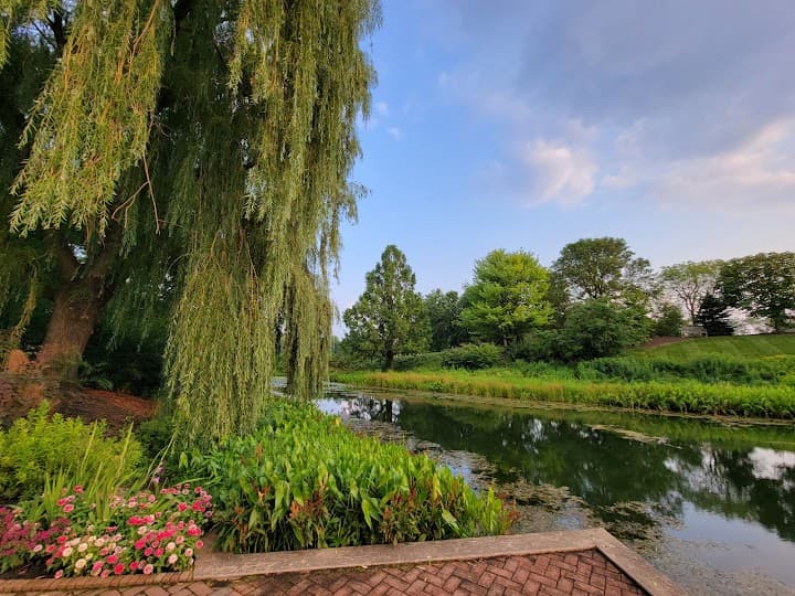 Chicago Botanic Garden portfolio 4