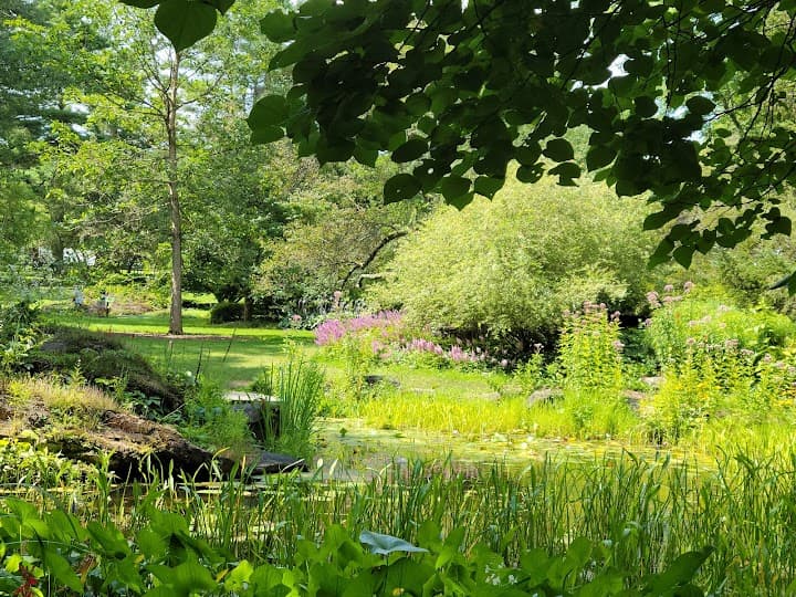 Berkshire Botanical Garden portfolio 3