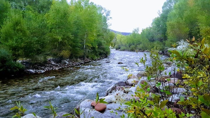 Roaring Fork Club portfolio 3