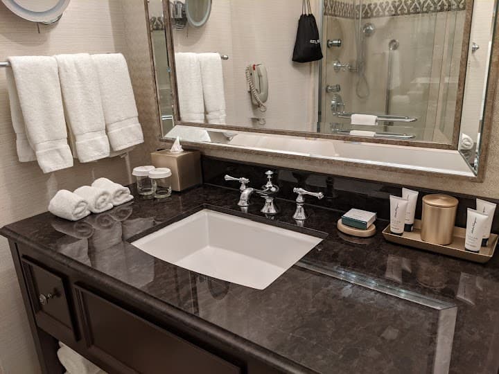 The Roosevelt New Orleans, A Waldorf Astoria Hotel portfolio 4