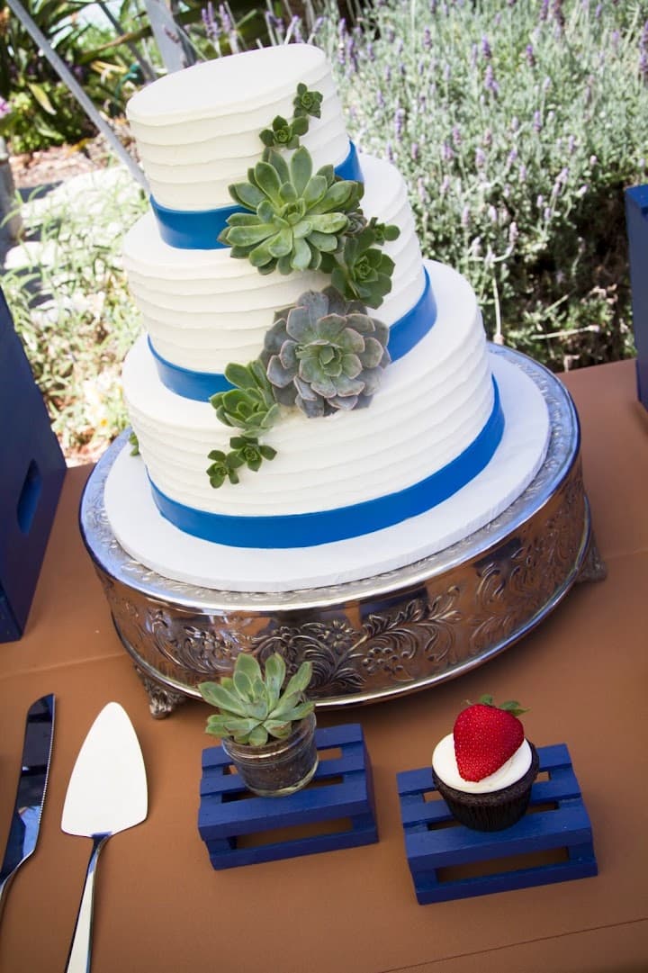 The Crimson Cake portfolio 2