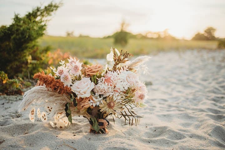 Sarah Murray Photography portfolio 5