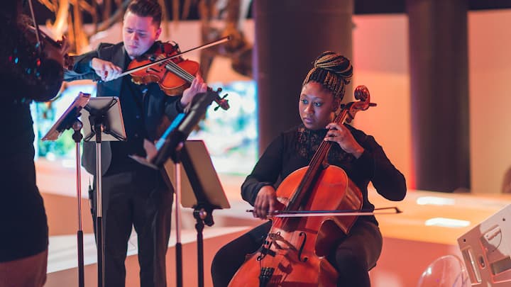 Divisi Strings