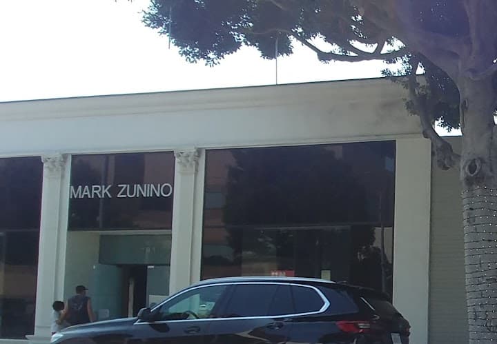 Mark Zunino