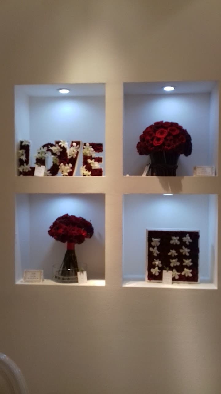 Eventos Euforia portfolio 2