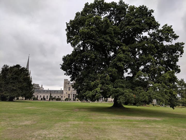 Ashridge House portfolio 2