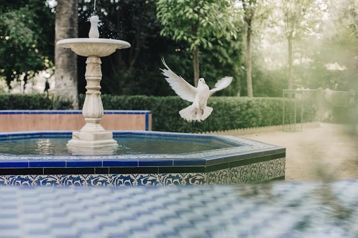 Villa Luisa portfolio 4