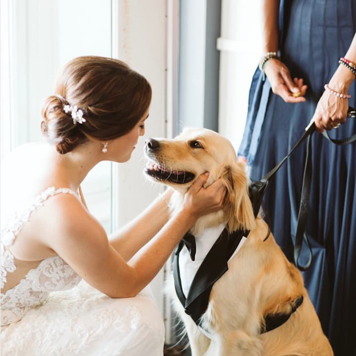 RED CARPET READY by Sarah portfolio 3