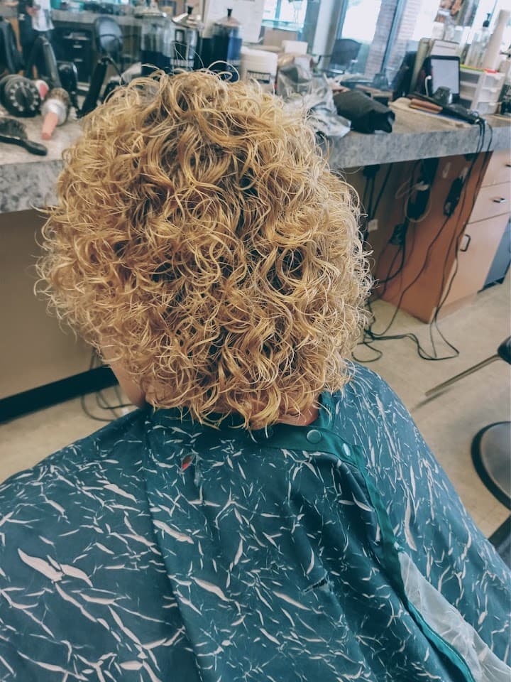 Salon 119