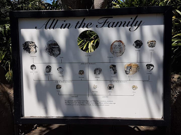 Santa Barbara Zoo portfolio 3