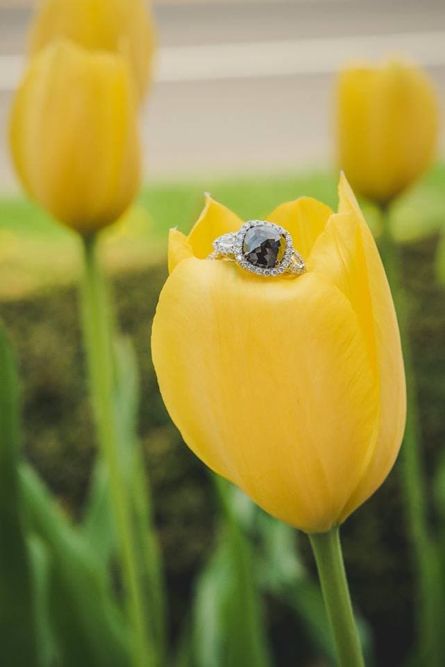 Branford Jewelers portfolio 4