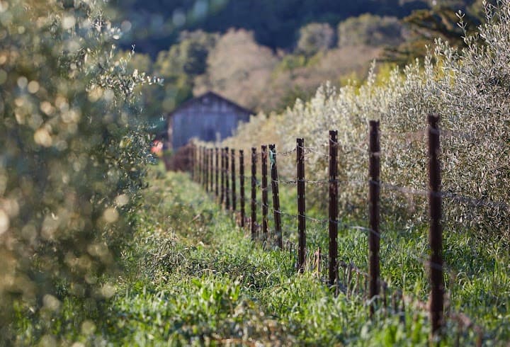 McEvoy Ranch portfolio 4