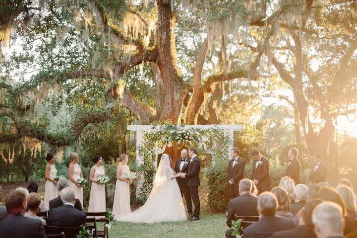 Julie Livingston Photography