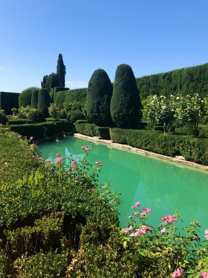 Villa Gamberaia portfolio 4