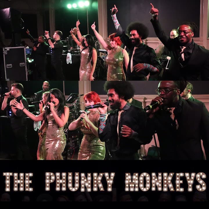 The Phunky Monkeys portfolio 1