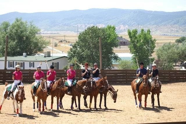 Denver Polo Club portfolio 2