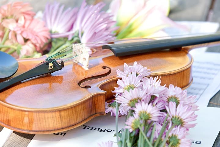 Strings by Reiko portfolio 3