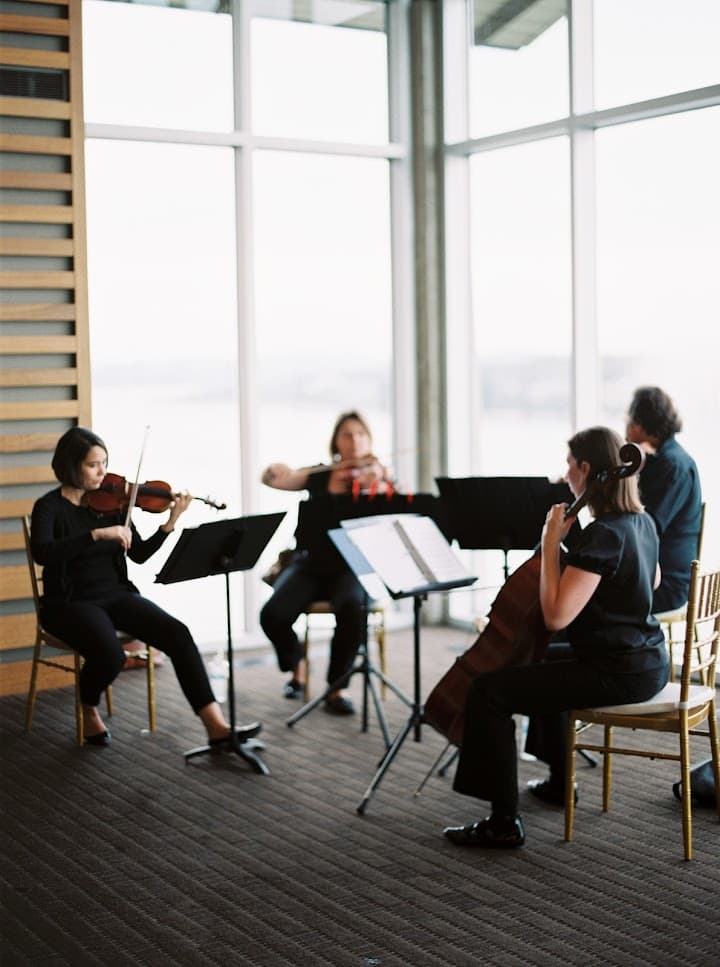 Terra Vista Strings portfolio 5