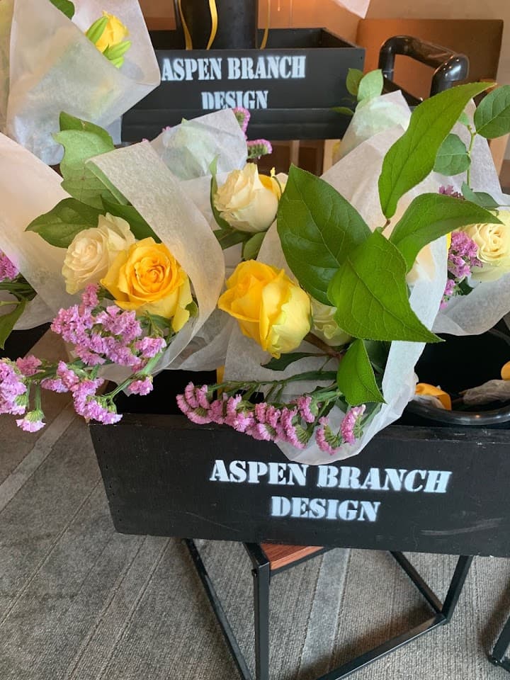 Aspen Branch portfolio 2