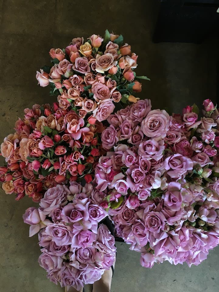 Wilder Floral Co. portfolio 2