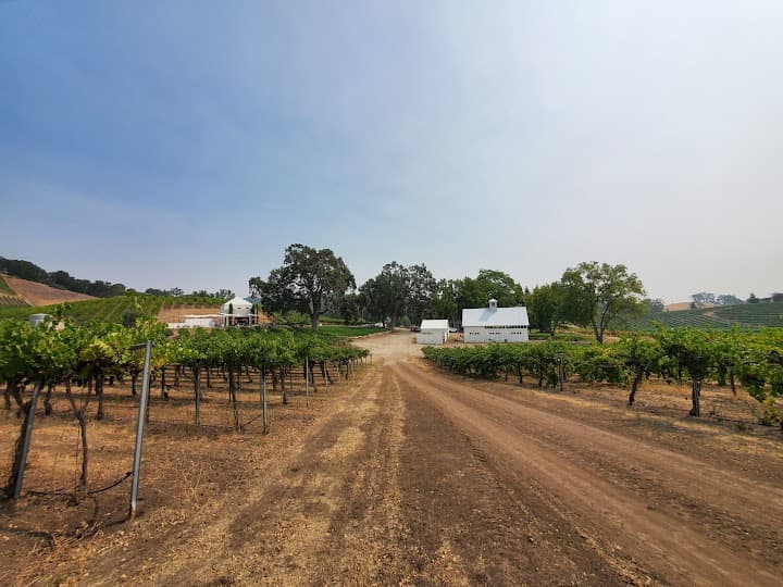 HammerSky Vineyards portfolio 3