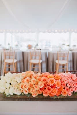 Molly McKinley Designs portfolio 5