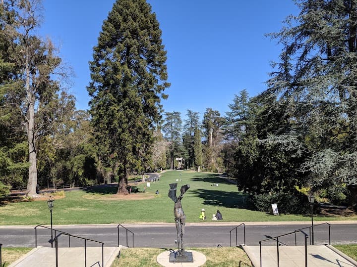 Montalvo Arts Center portfolio 2
