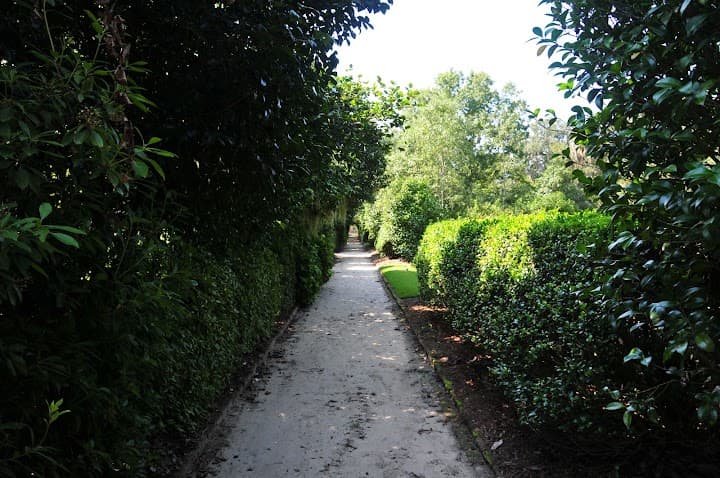 Middleton Place portfolio 3