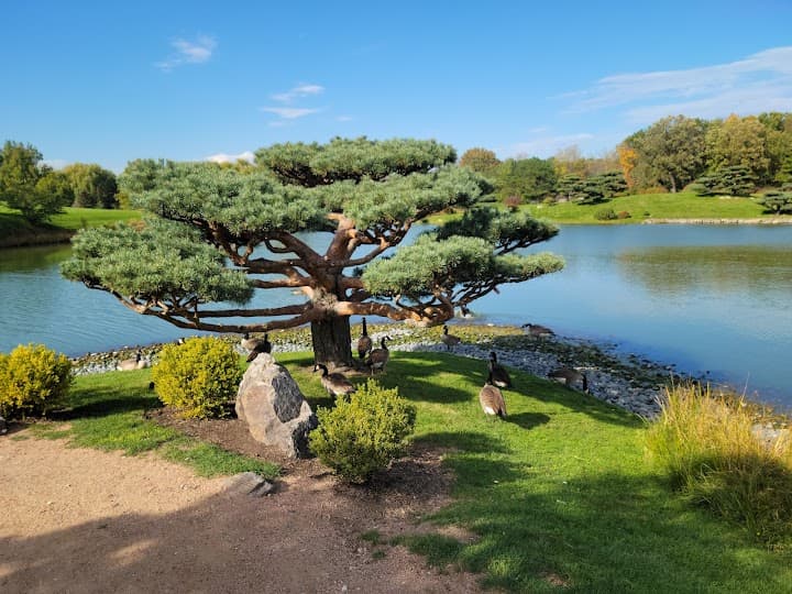 Chicago Botanic Garden portfolio 5