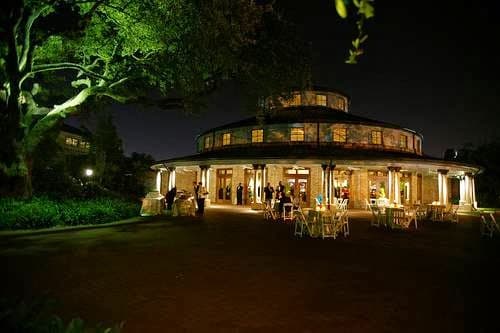 Audubon Tea Room portfolio 5