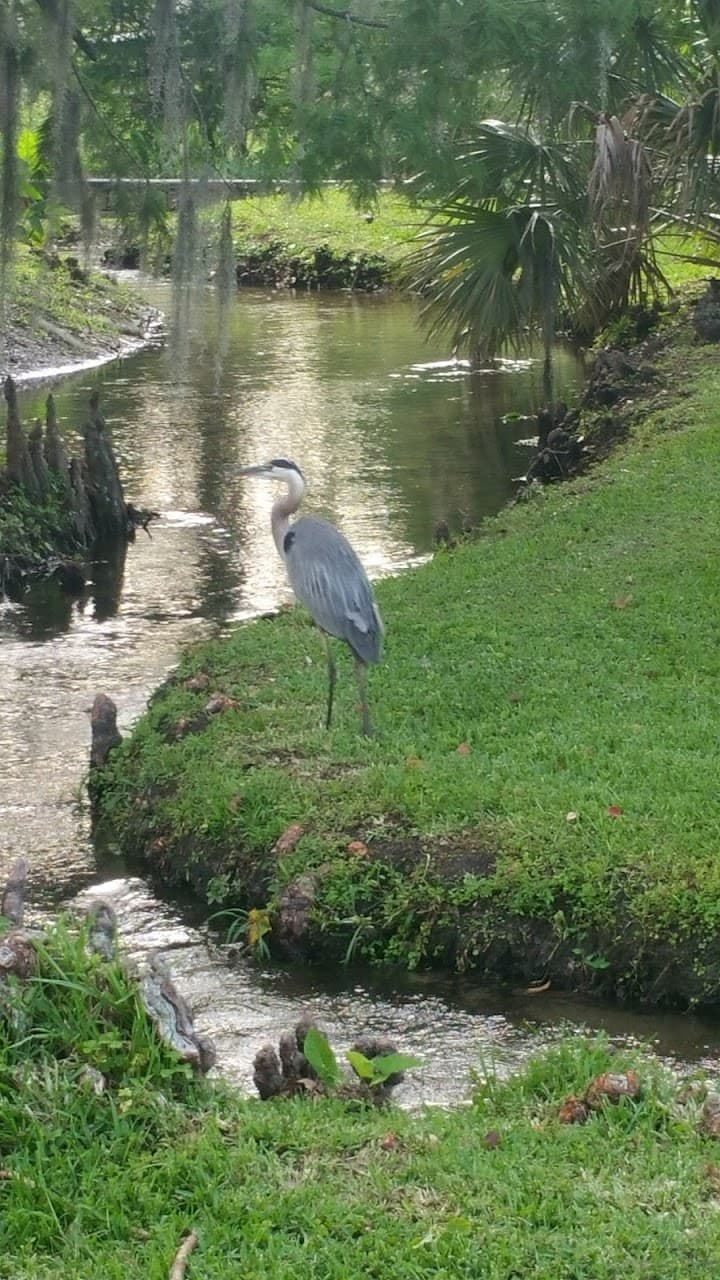 The Country Club Of Orlando portfolio 2
