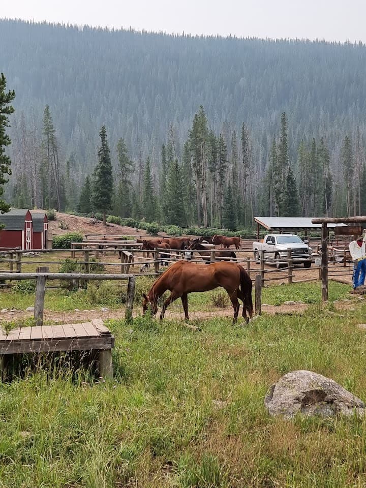 Piney River Ranch portfolio 2