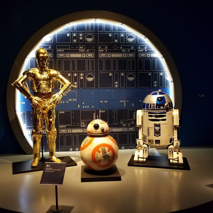 Detroit Institute of Arts portfolio 5