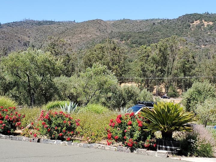 B.R. Cohn Winery and Olive Oil Company portfolio 2